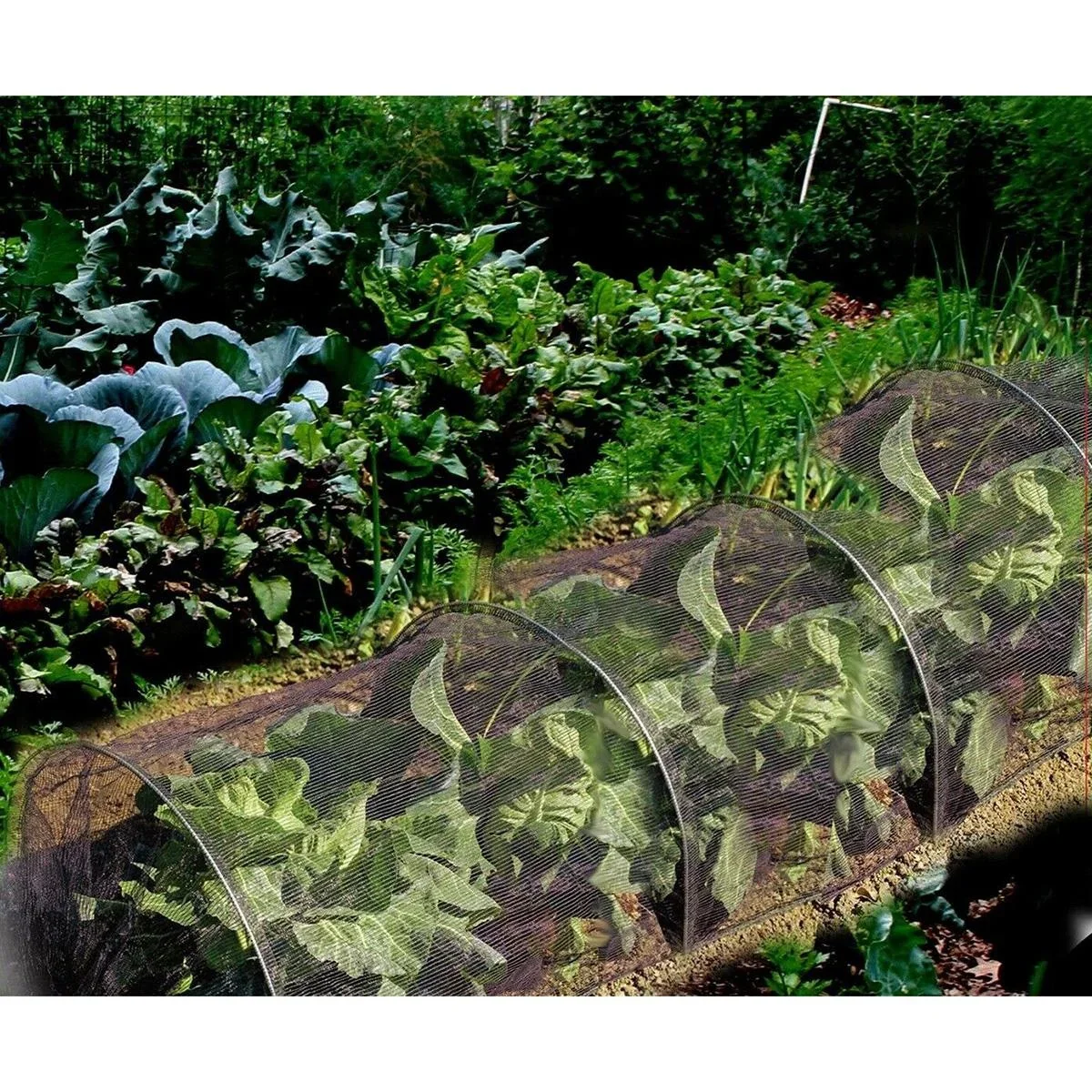 NL Wachstumstunnel mit schwarzem Maschennetz - 300x45x45 cm - 0