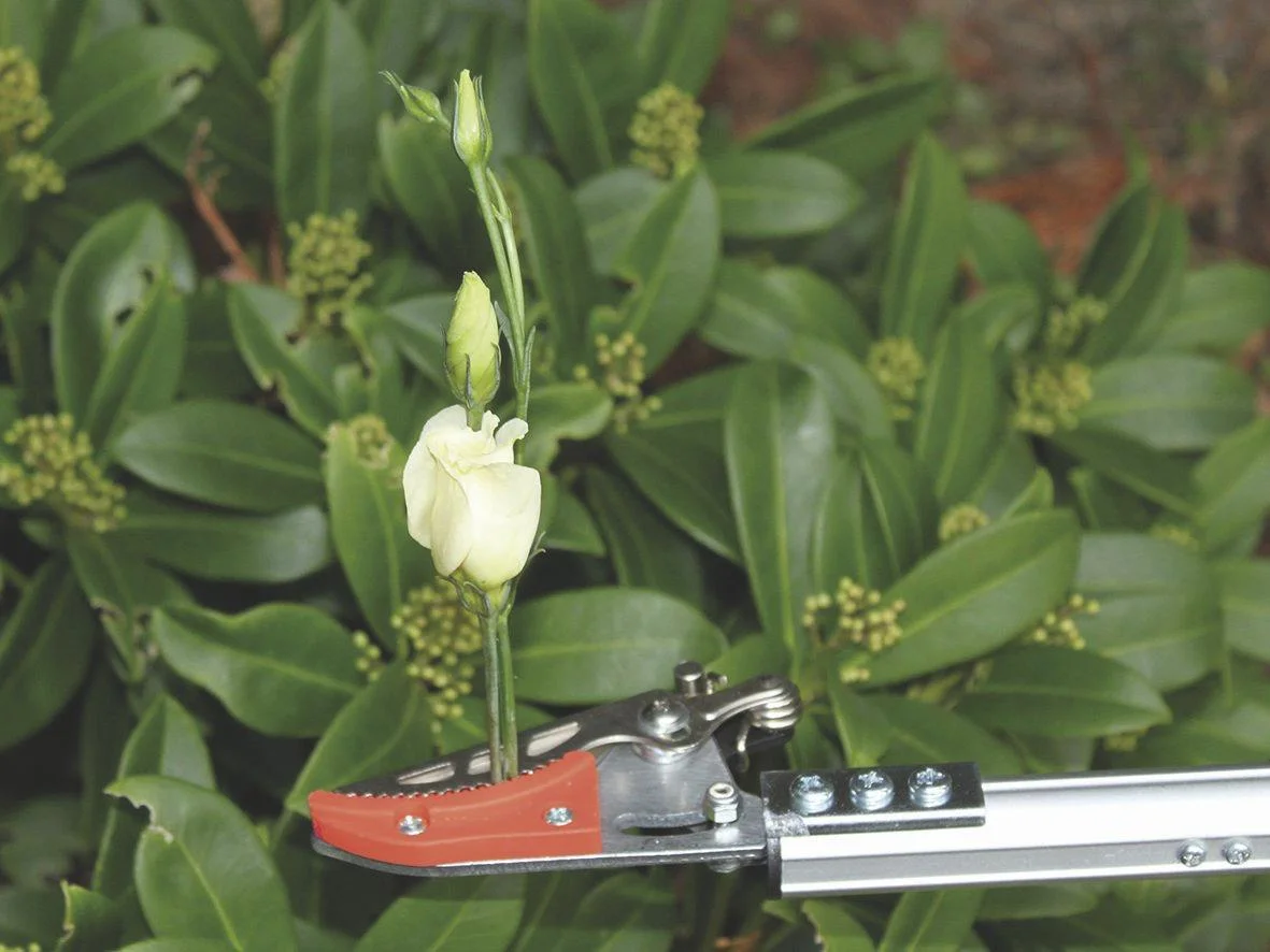 Spezialschere "Rosenkavalier" + Rosen-Wunderschere + eversharp 5in1 Multifunktionspray, 400 ml - 2