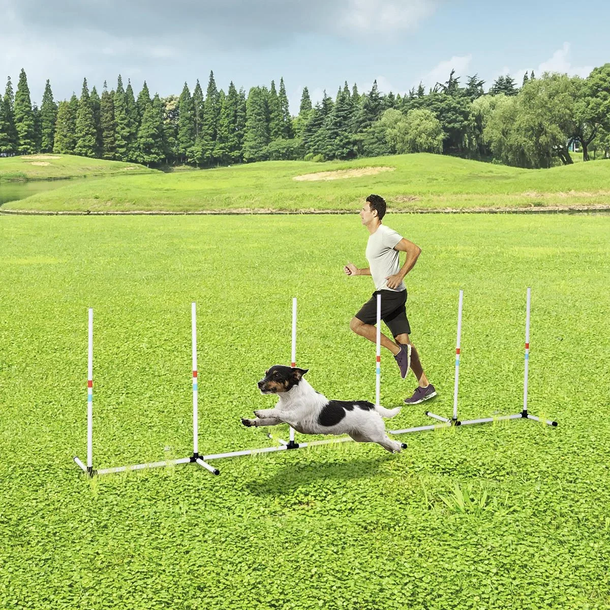 Hunde Slalomstangen Agility Training für Haustiere Hundetrainigsset Inklusive Tasche Leicht zu tragen Polyester Kunststo - 0