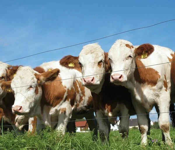 Alu-Weidezaundraht, Ø 1,8 mm - 1