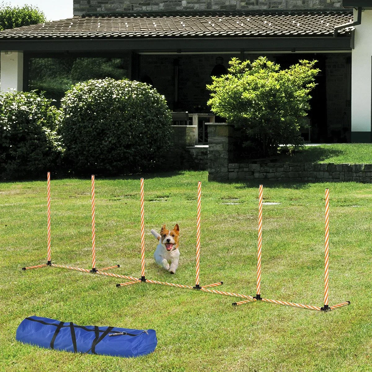 Hunde Slalomstangen Agility Training für Haustiere Hundetrainigsset Inklusive mit Oxford Tasche Leicht zu tragen Polyest - 0
