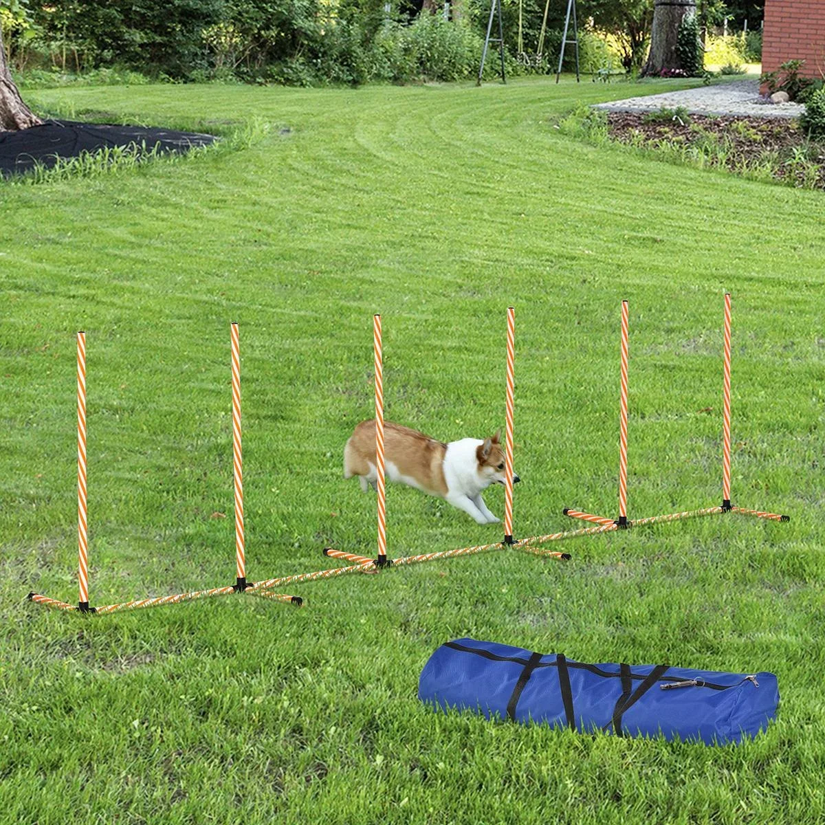 Hunde Slalomstangen Agility Training für Haustiere Hundetrainigsset Inklusive mit Oxford Tasche Leicht zu tragen Polyest - 1