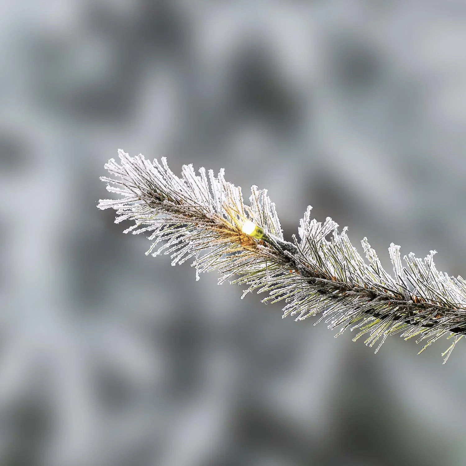 Weihnachtsbaum Fichte Frost 210 cm - 0