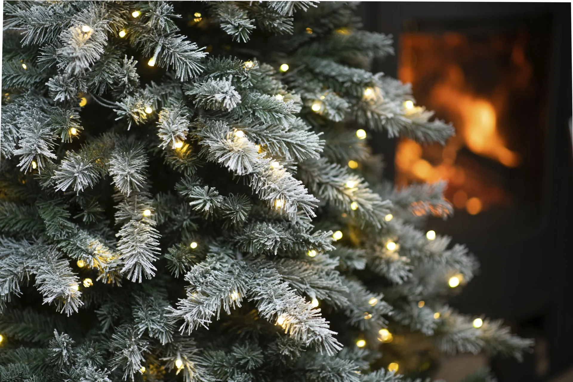 Weihnachtsbaum Fichte Frost 210 cm - 1
