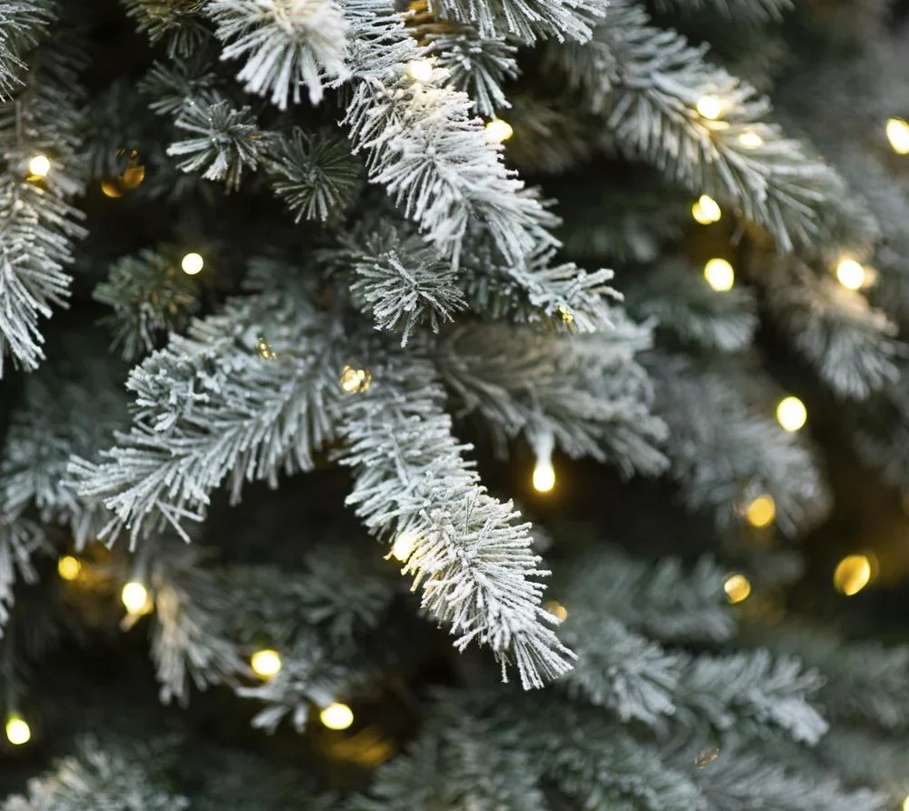 Weihnachtsbaum Fichte Frost 210 cm - 4