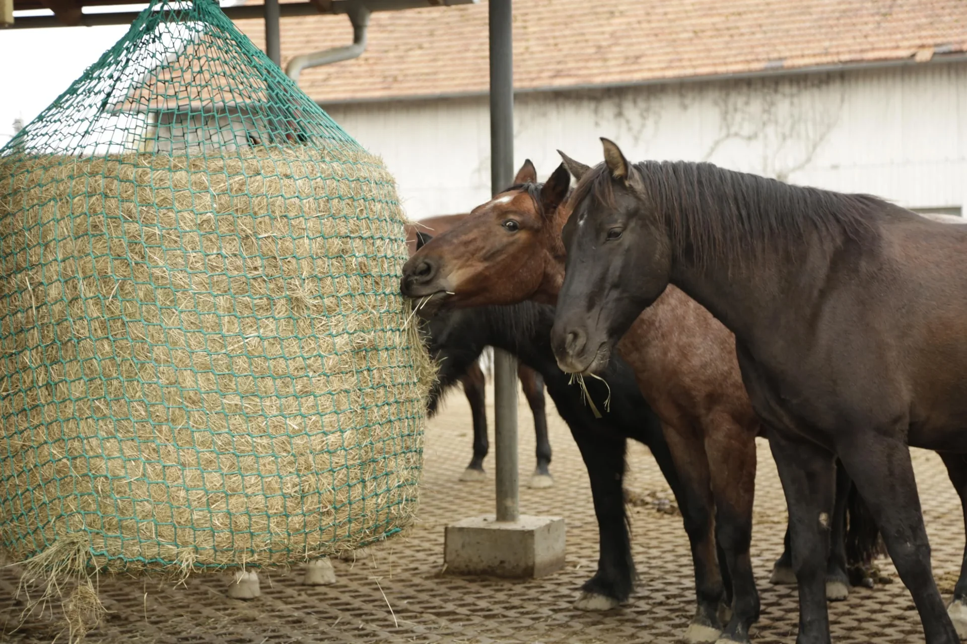 Heunetz für Rundballen 150 x 180 cm zum Aufhängen - 0