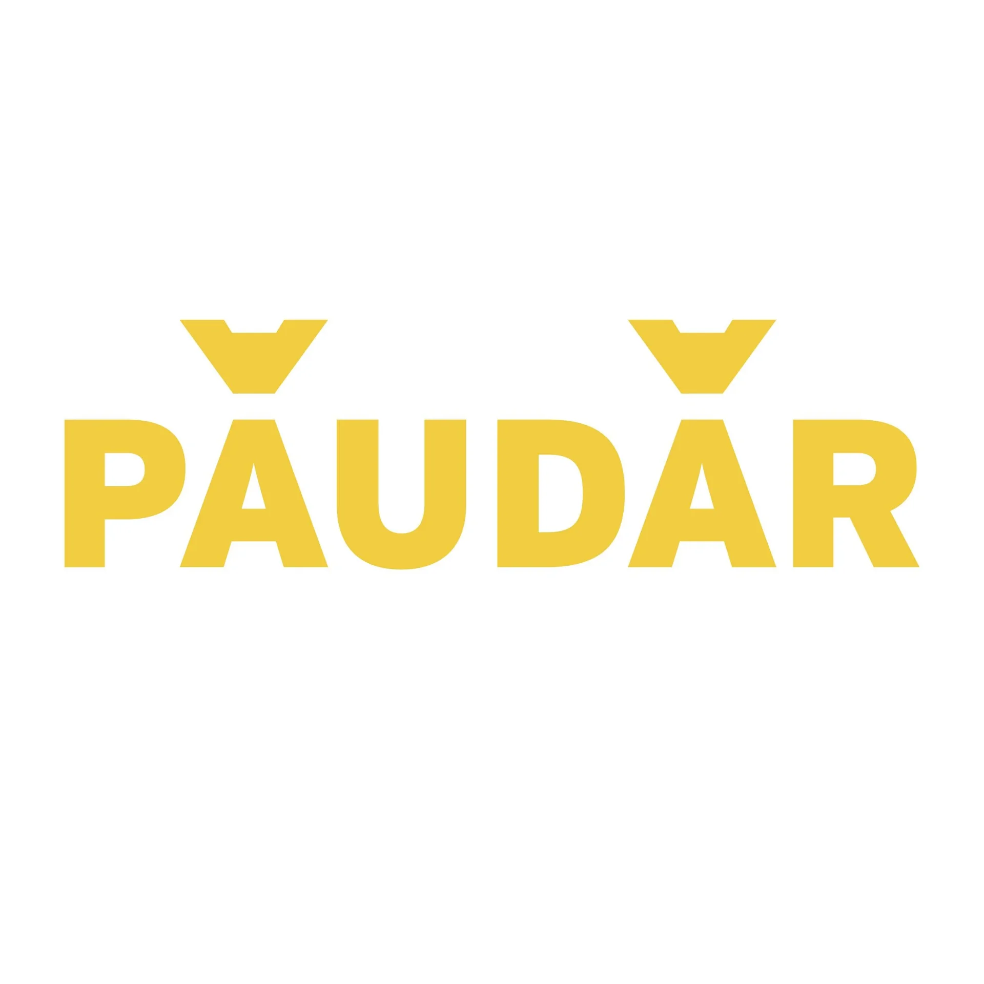 Pflanzliches Bratfett-Pulver, „PAUDAR“, 125 g - 4