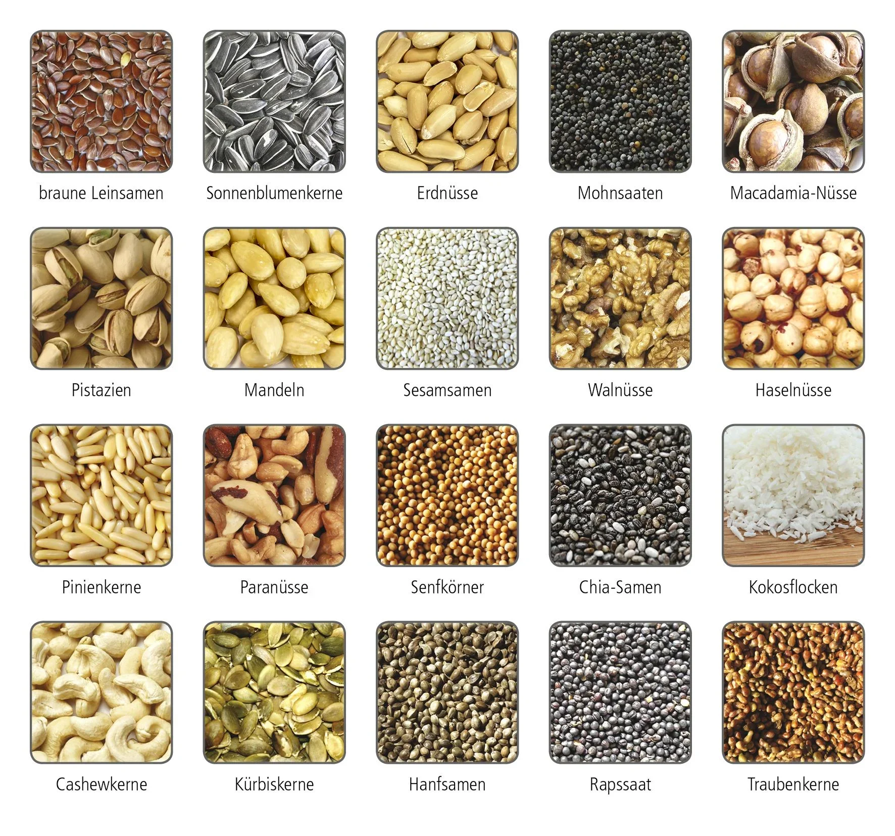 Elektrische Ölpresse OP 700 "Emilio", mit 2 Förderschnecken aus Edelstahl, 650 Watt - 0