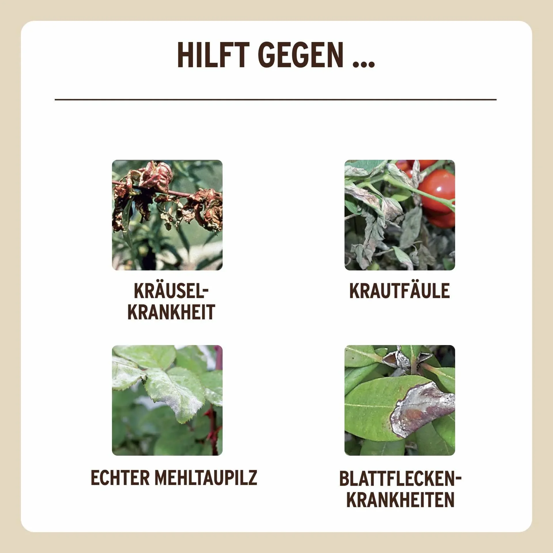 Grundstoff Lecithin Spray 750 ml - 2