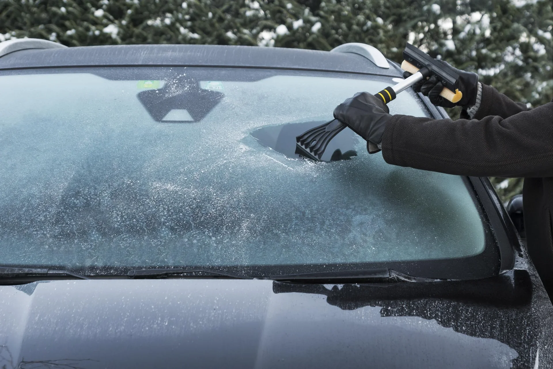 Scheibenreiniger und Eiskratzer 2in1 - 40x20 cm schwarz - 1