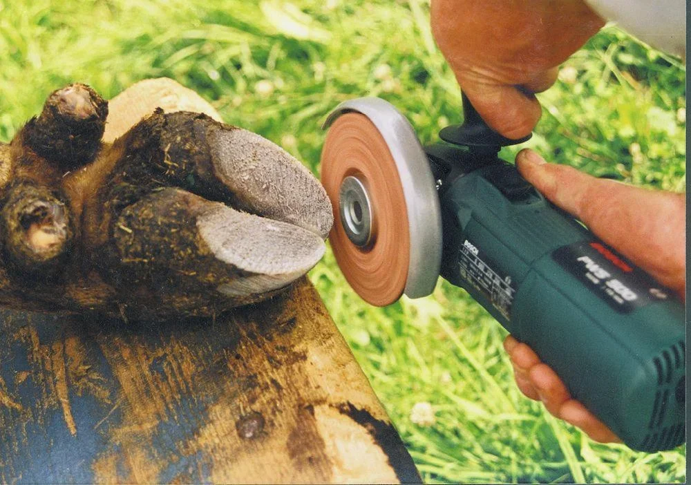 Klauenscheibe Ø 125 mm, Original Philipsen - 0