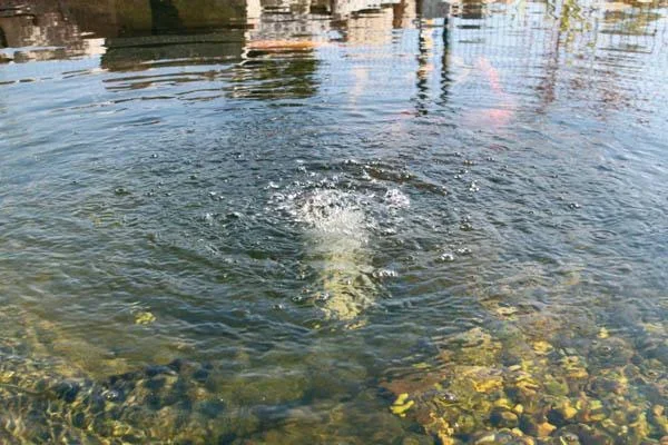 Solar Teichbelüfter SOLAR AIR-S - 0