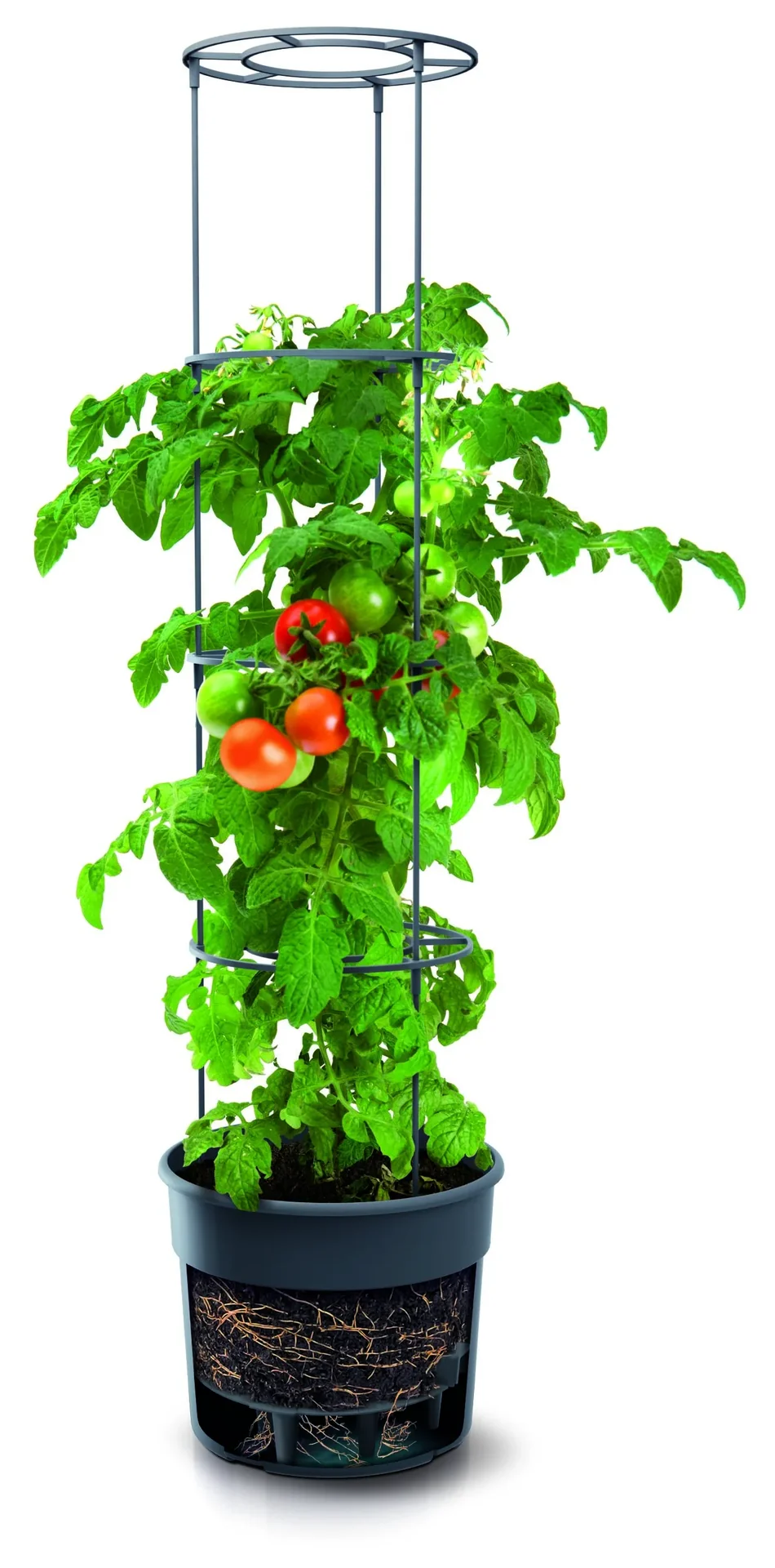 Anzuchttopf für Tomaten "Grow 2", Ø 392 mm, anthrazit - 2