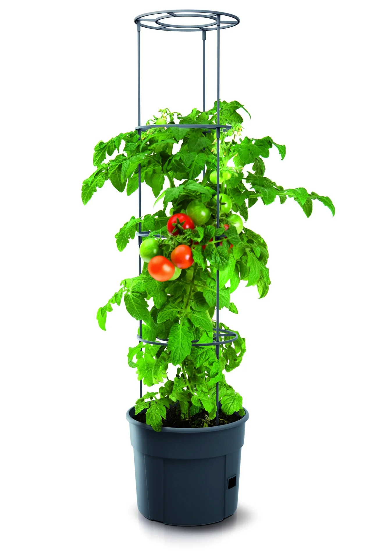 Anzuchttopf für Tomaten "Grow 2", Ø 392 mm, anthrazit - 4