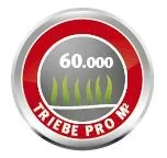 Sport- & Spielrasen, LG 500 - 0