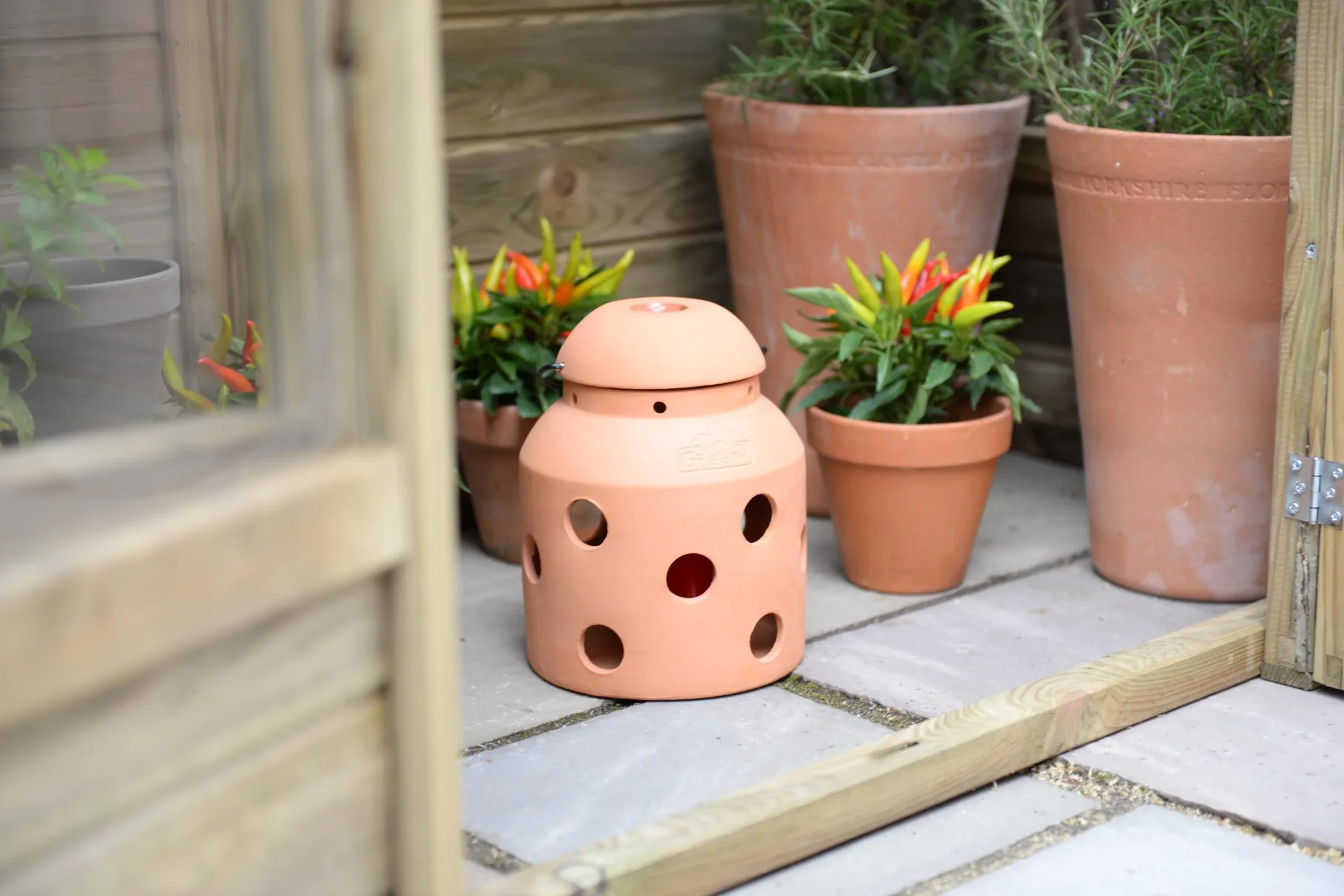 Frostwächter "Firefly" - 7