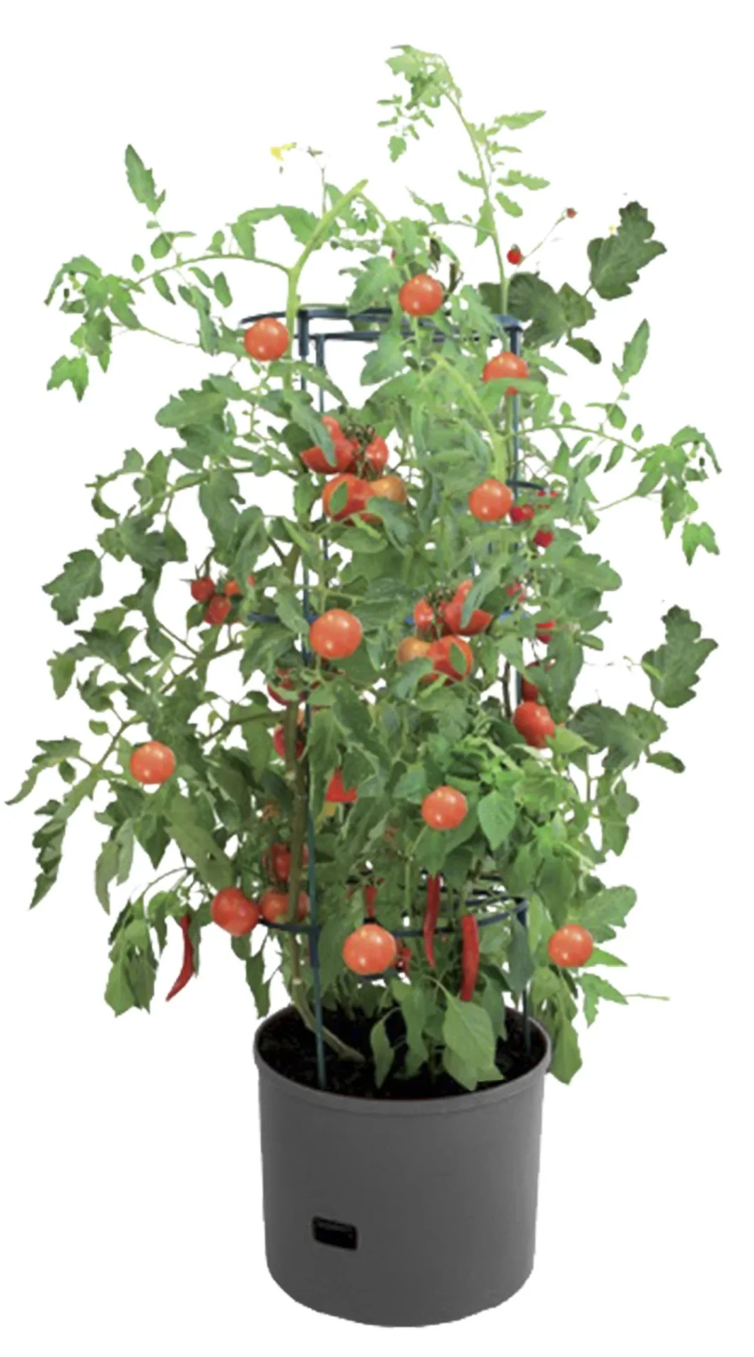Pflanzturm "Maxitom Jumbo", anthrazit im Spar-Set mit Abdeckhaube - 1