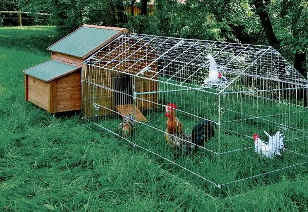 Kleintierstall - 0
