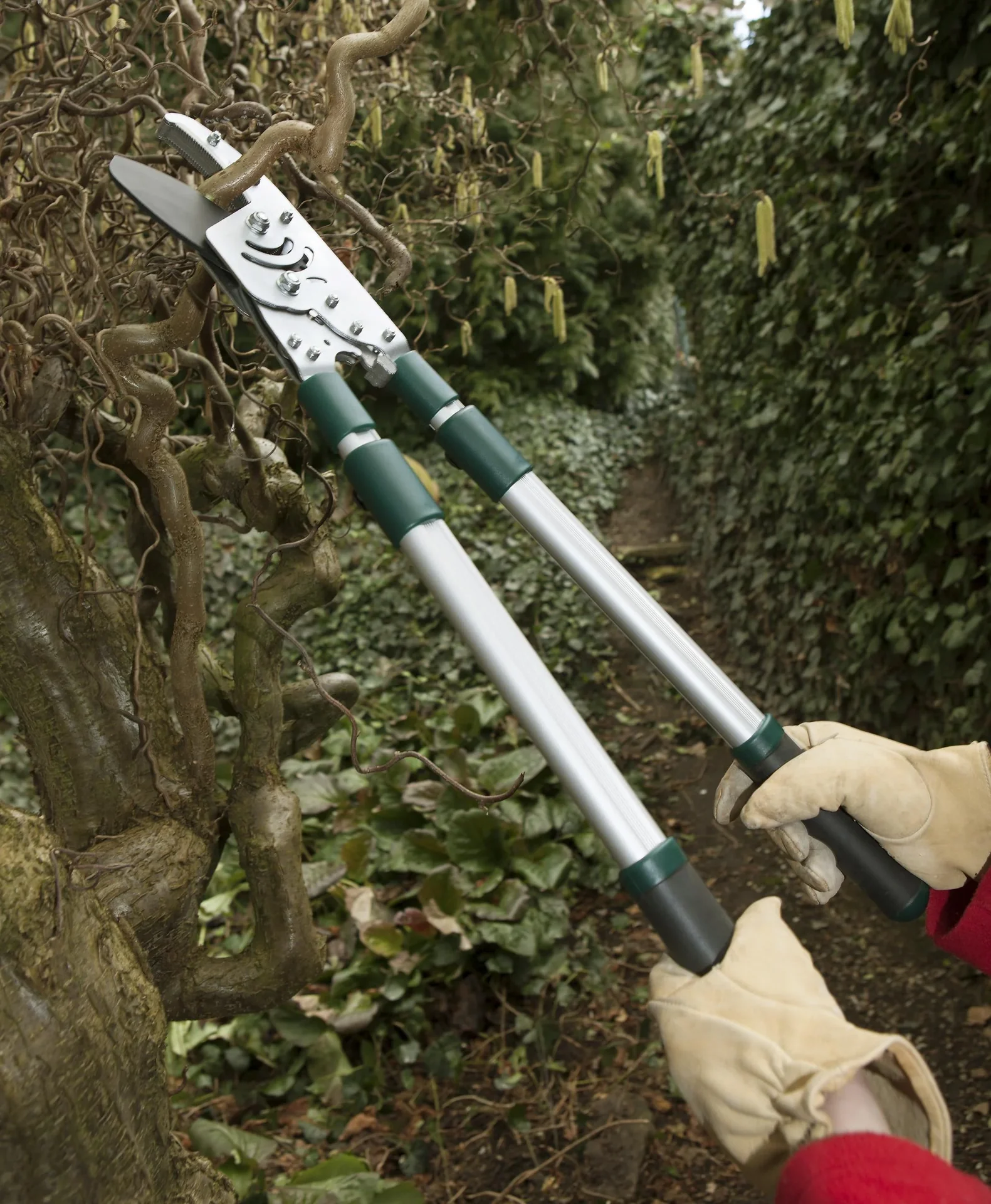 Amboss Astratschenschere mit Teleskopgriff, 50 mm Schnittstärke Gratis dazu Rostlöser - 2