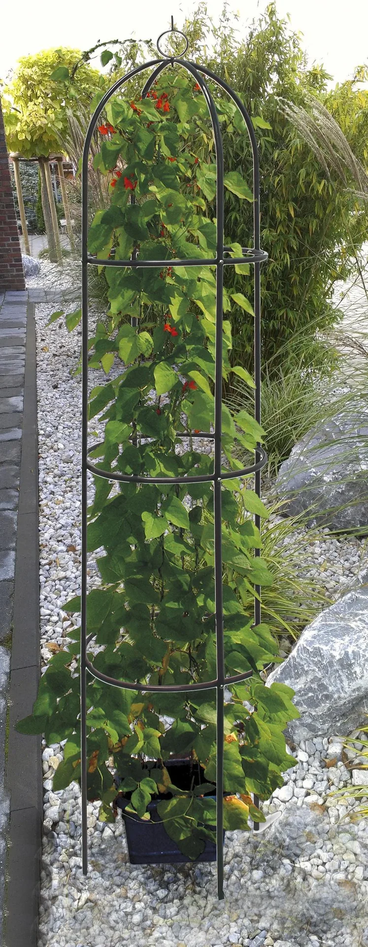 Rank-Obelisk Ø 40 x 190 cm - 0