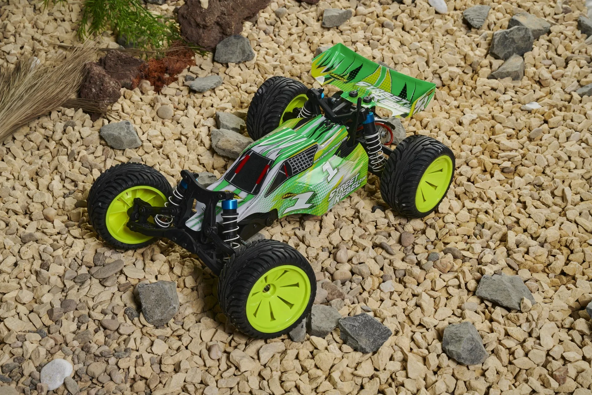 1:10 Street Rebel 2WD X10 2.4G 100% RTR - 5
