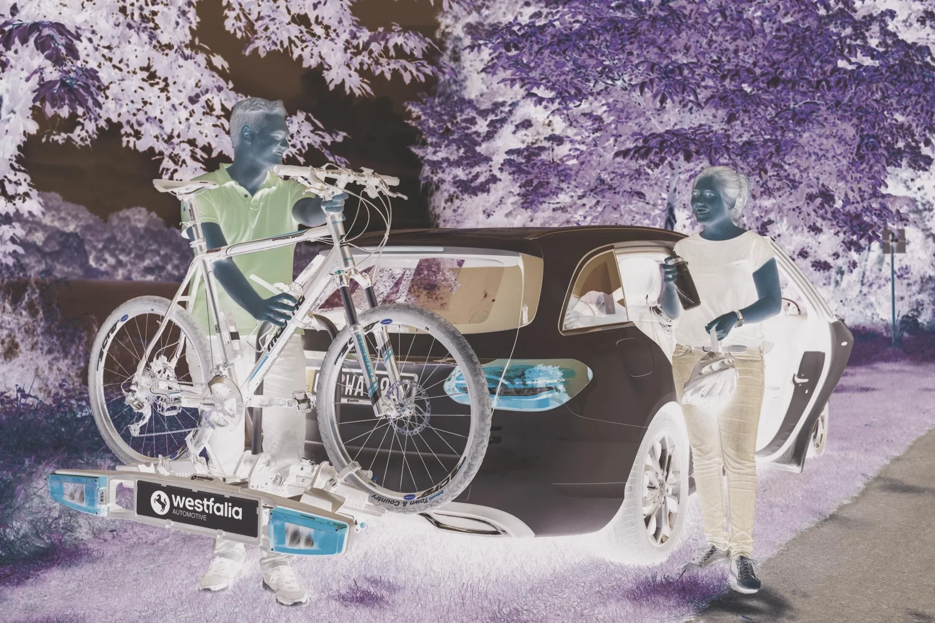 Fahrradträger ´bikelander´ für 2 Fahrräder E-Bike-fähig für die Anhängerkupplung - 6