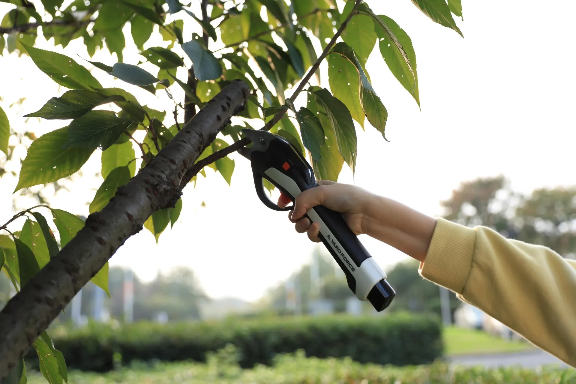 LS V14 4V Vita Bypass-/Gartenschere - 5