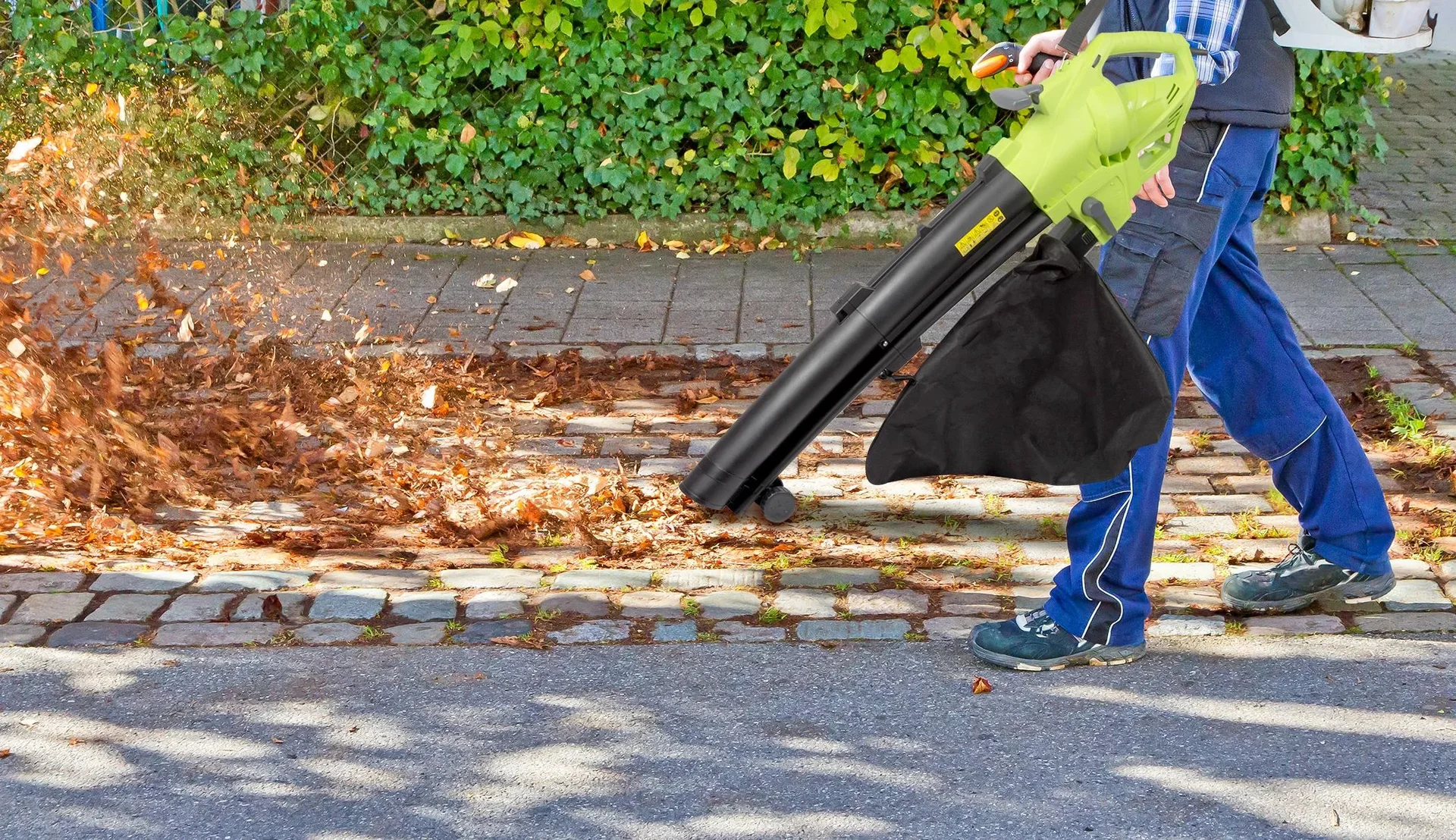 3 in 1 Laubsauger und Gebläse, 3000 W - 1