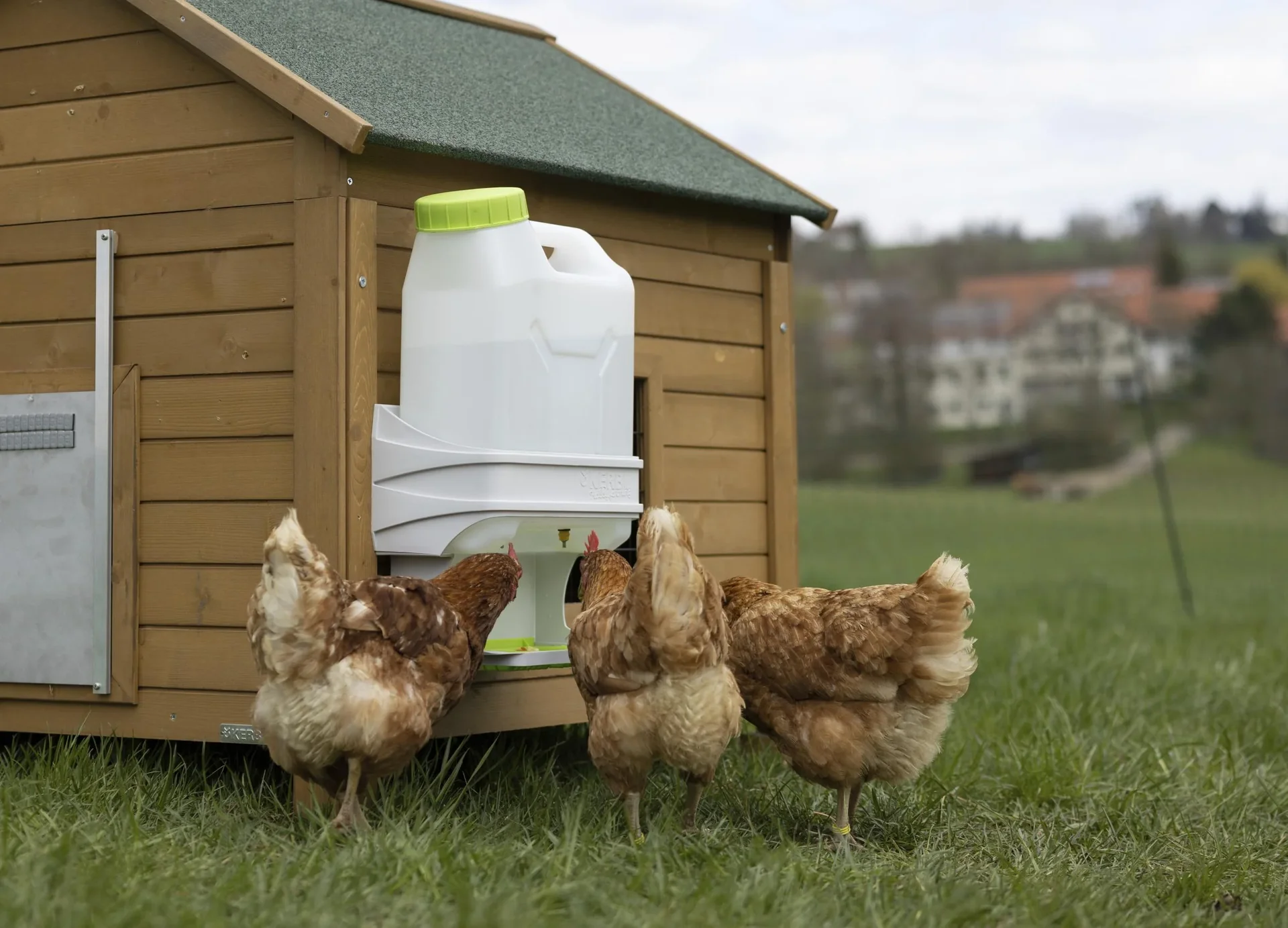SmartCoop Geflügeltränke 10 Liter - 2