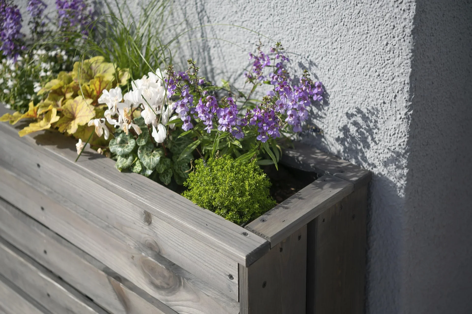 Pflanzkasten Solo mit Stauraum - 5