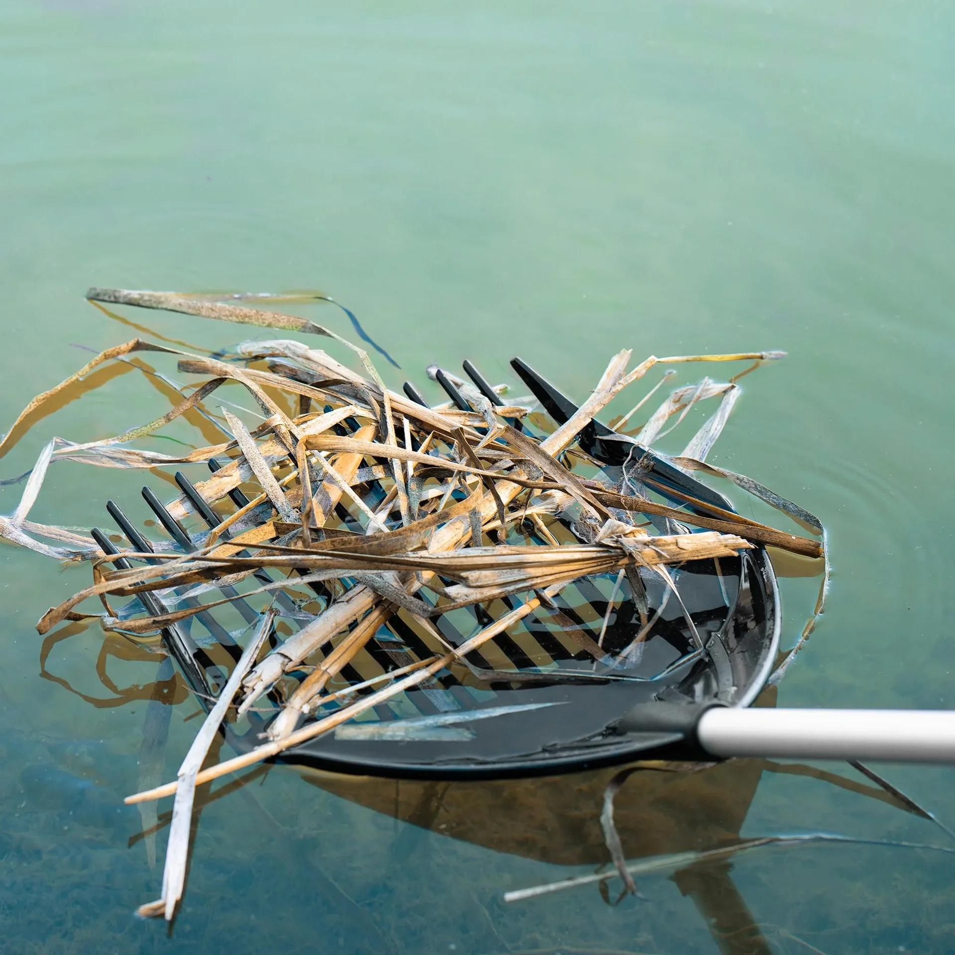 Hof & Gartenschaufel groß 3-in-1 - 0