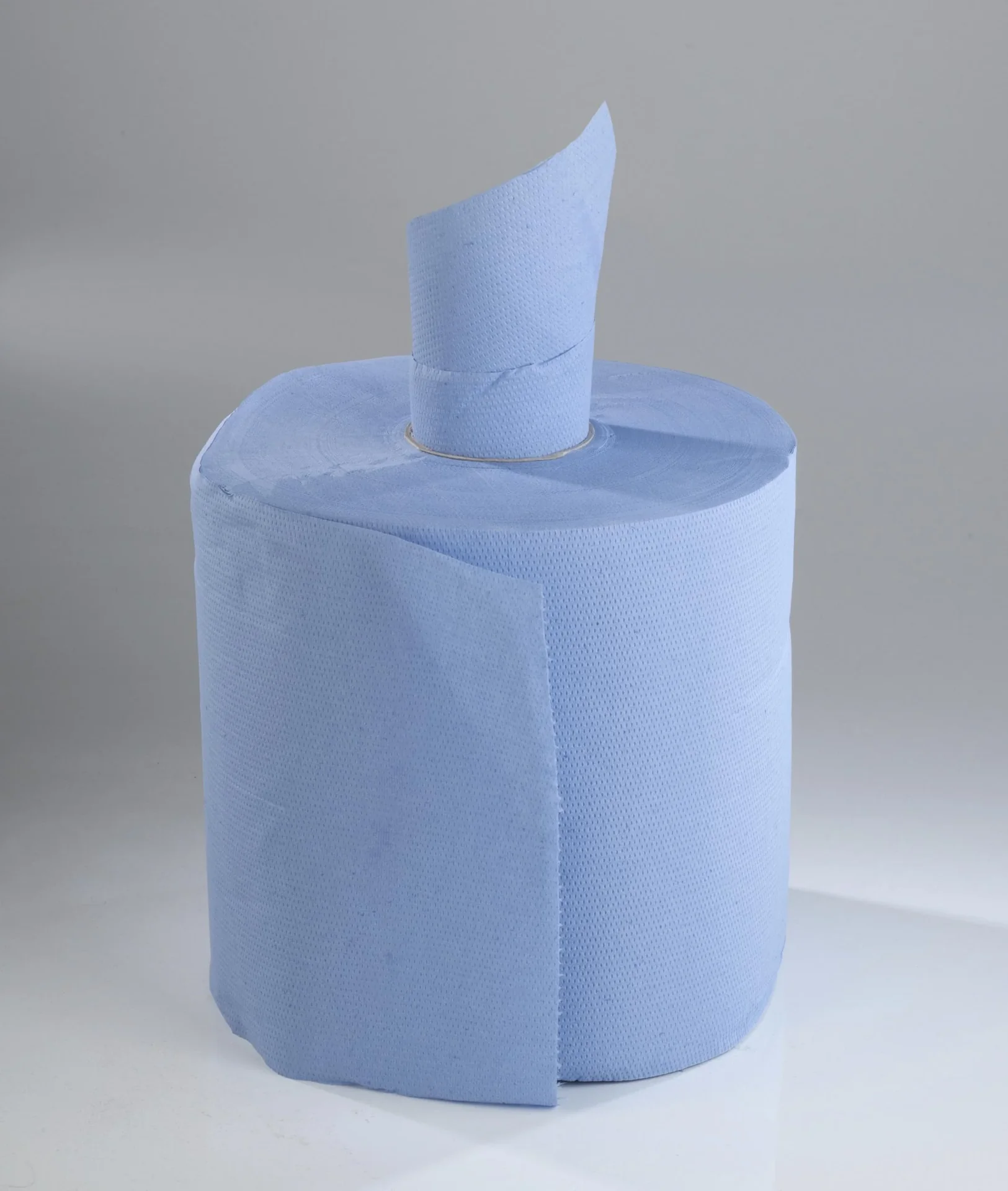 Blaue Putzrollen, 4 Stück - 3