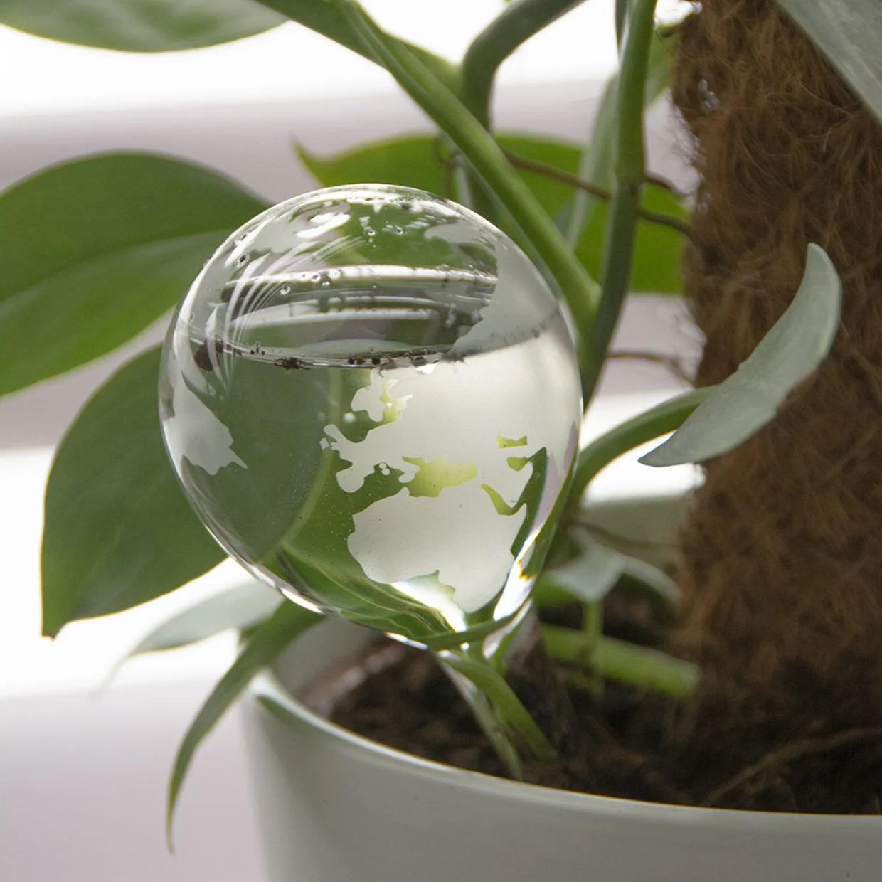 Bewässerungskugel Globus - 1