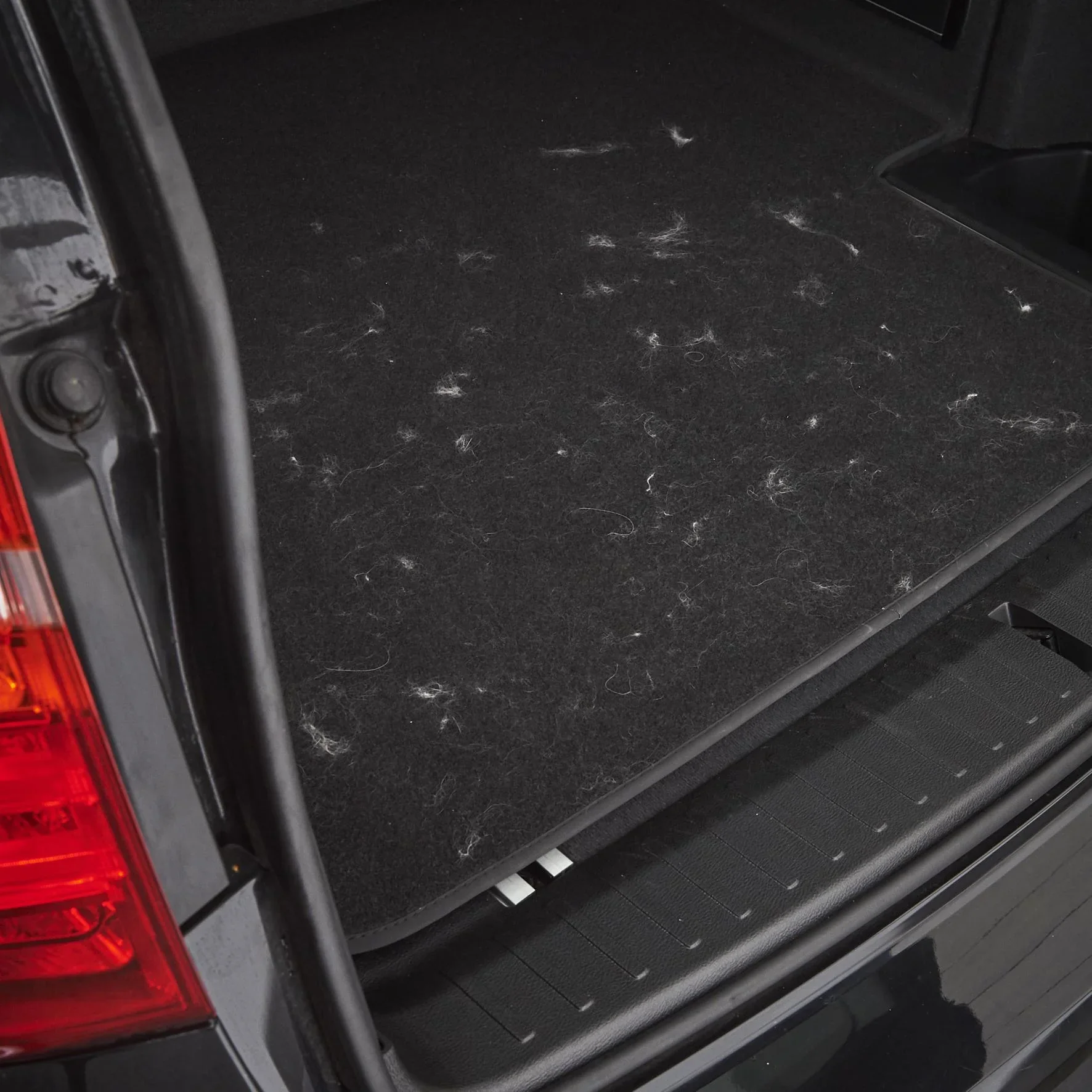 Spezialbürste zur Tierhaarentfernung 154 g - 3