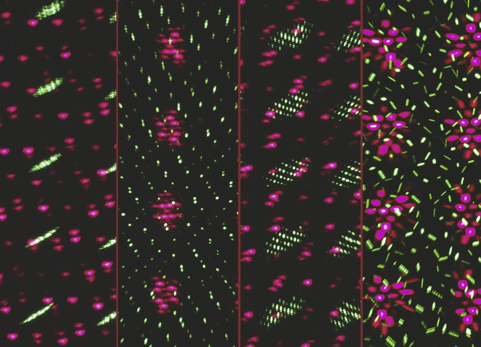 Bewegtes Laserlicht-System Star Shower Motion mit Sensor - 2