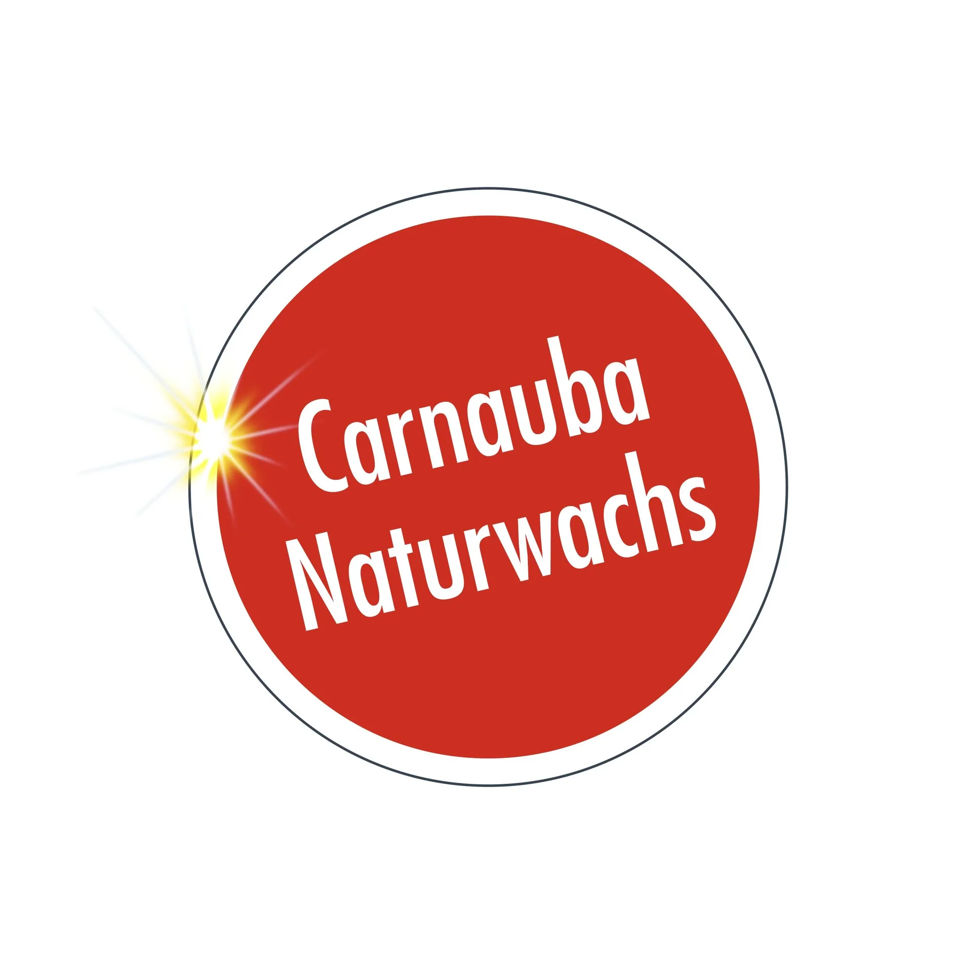 High Speed Wax 500 ml - 1