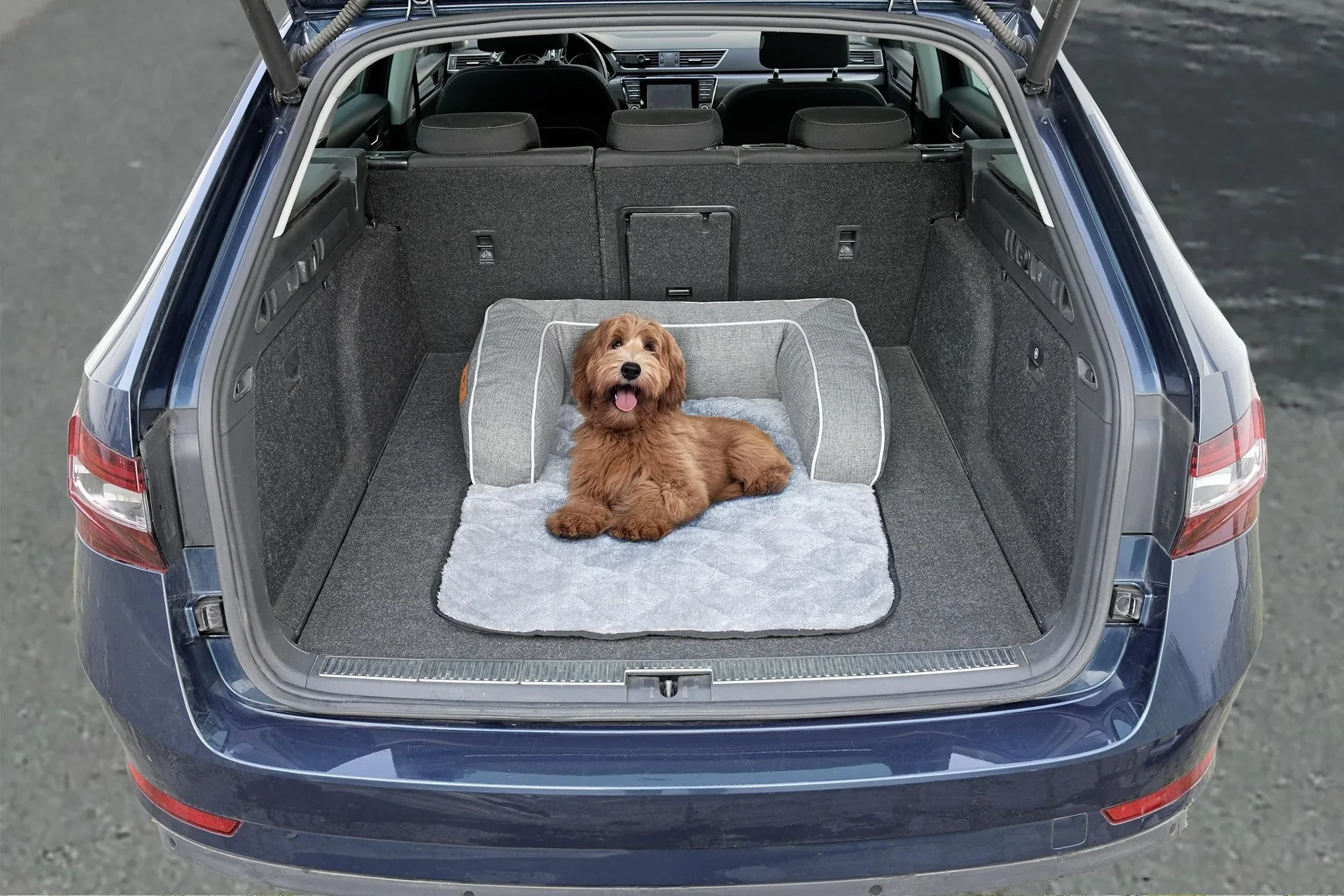 Couch in Couch "Premium", Anthrazit, Größe S, 60 x 80 cm - 5