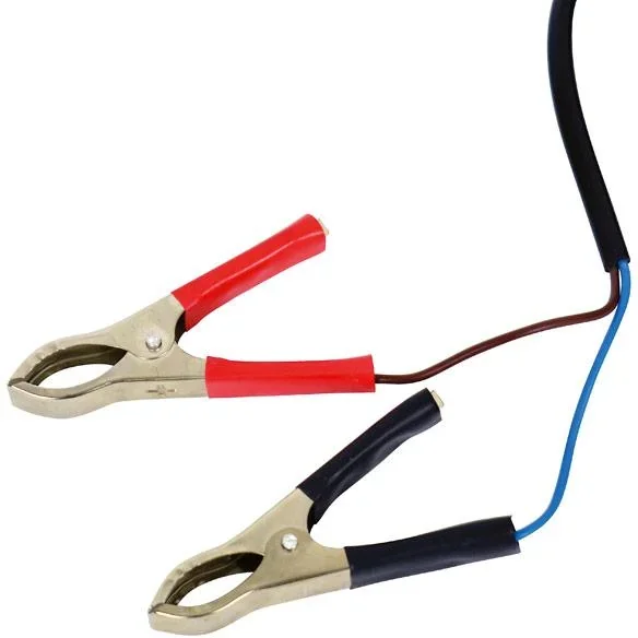 Transferpumpe Mini 12V - 1