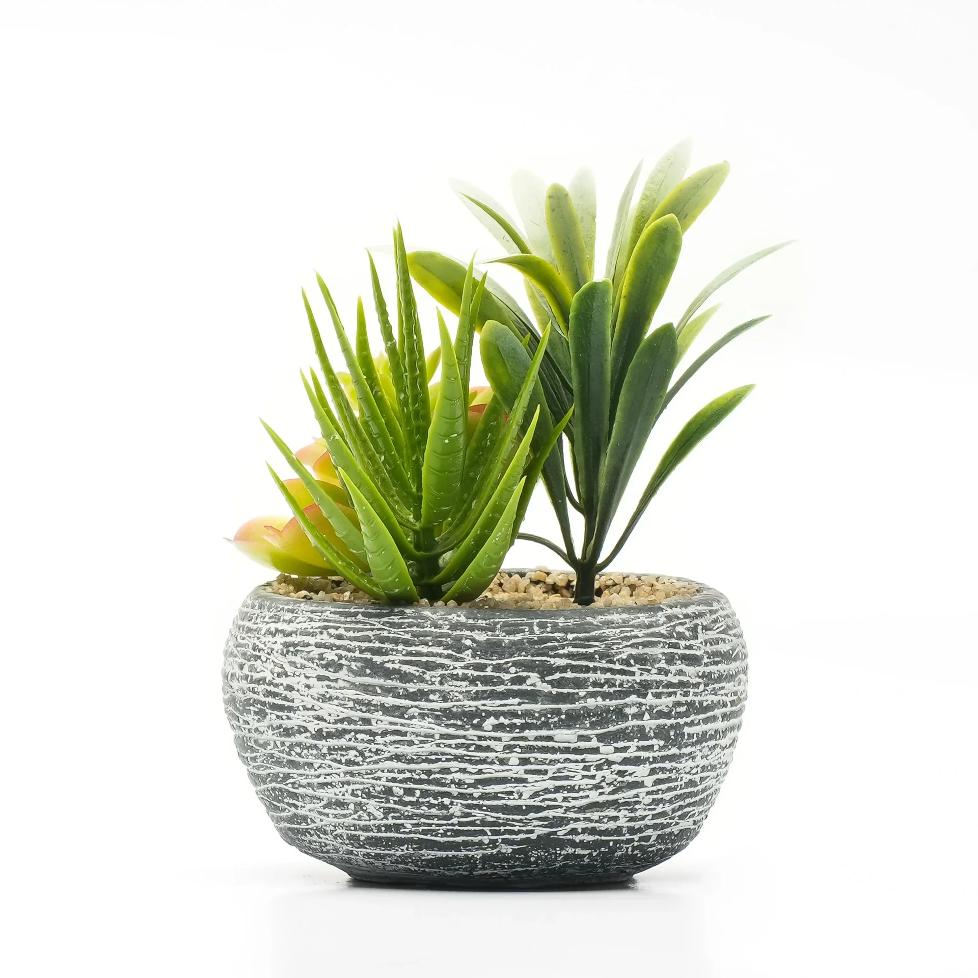 Kunstblume Sukkulenten im Beton 2er Set - 0