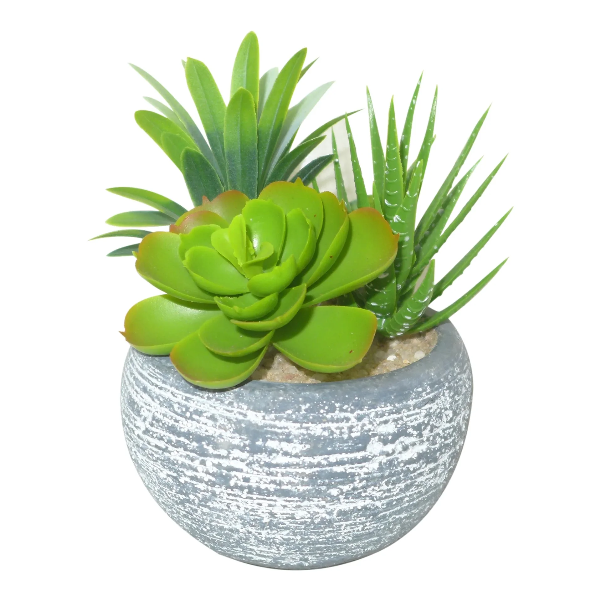 Kunstblume Sukkulenten im Beton 2er Set - 1