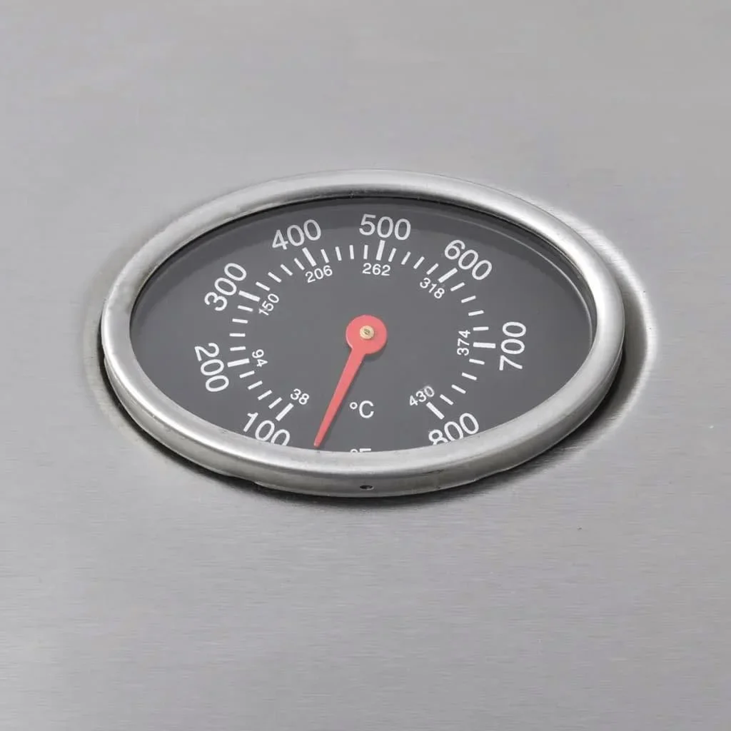 Gasgrill 4+1 Kochzone silber - 1