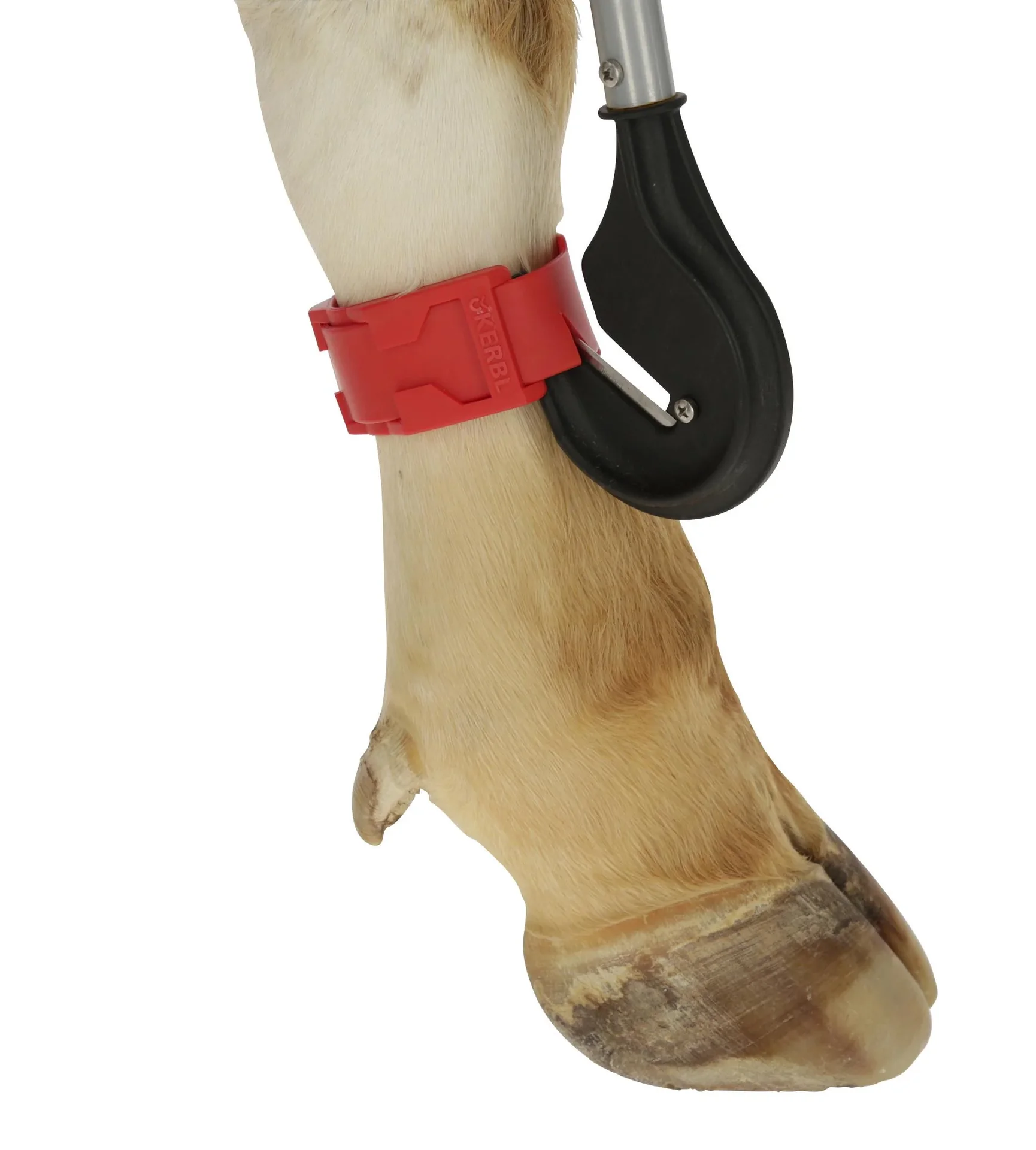 Bandagen-Messer mit auswechselbarer Klinge - 2