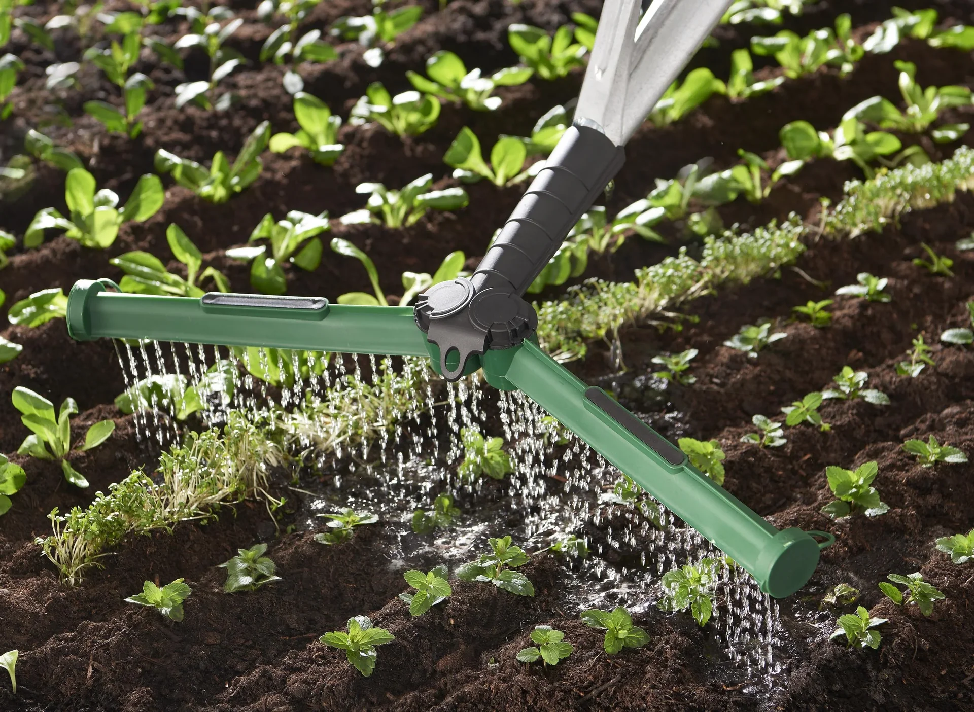 Gießkannenaufsatz, Breitgießer - 4