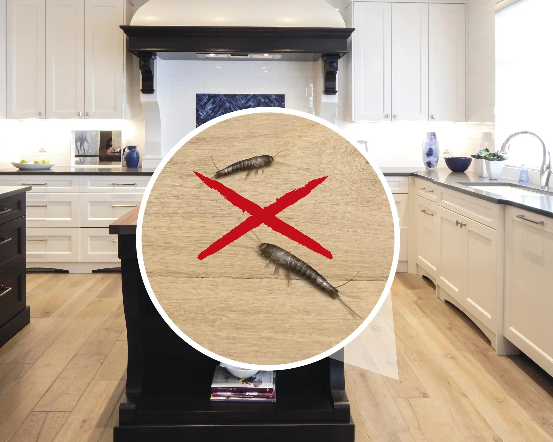 Silberfischabwehr-Stecker - 0