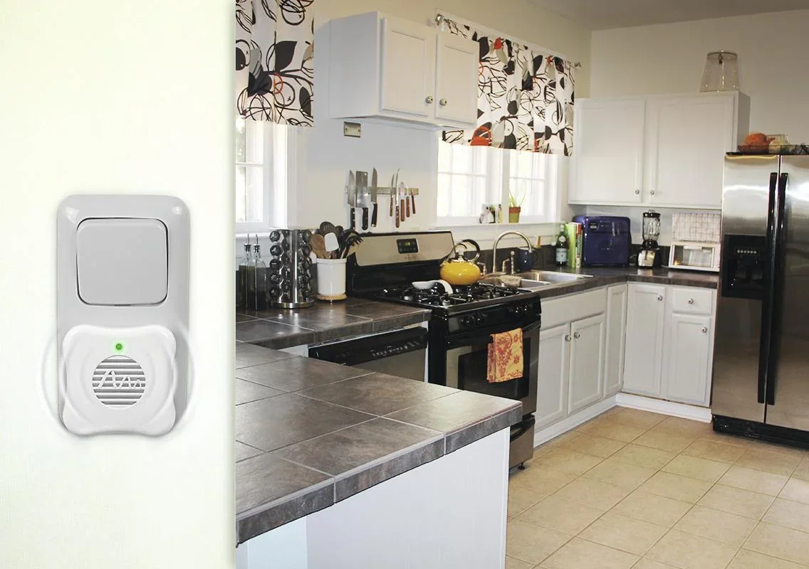 Silberfischabwehr-Stecker - 3