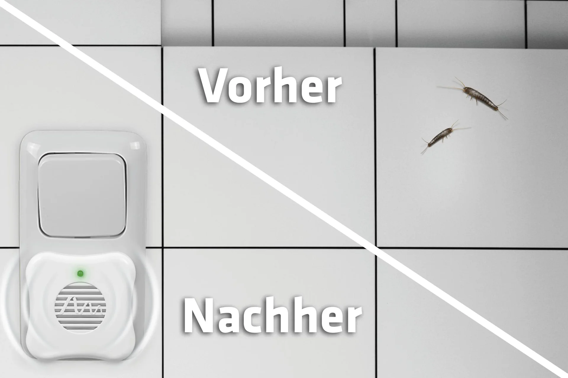 Silberfischabwehr-Stecker - 5