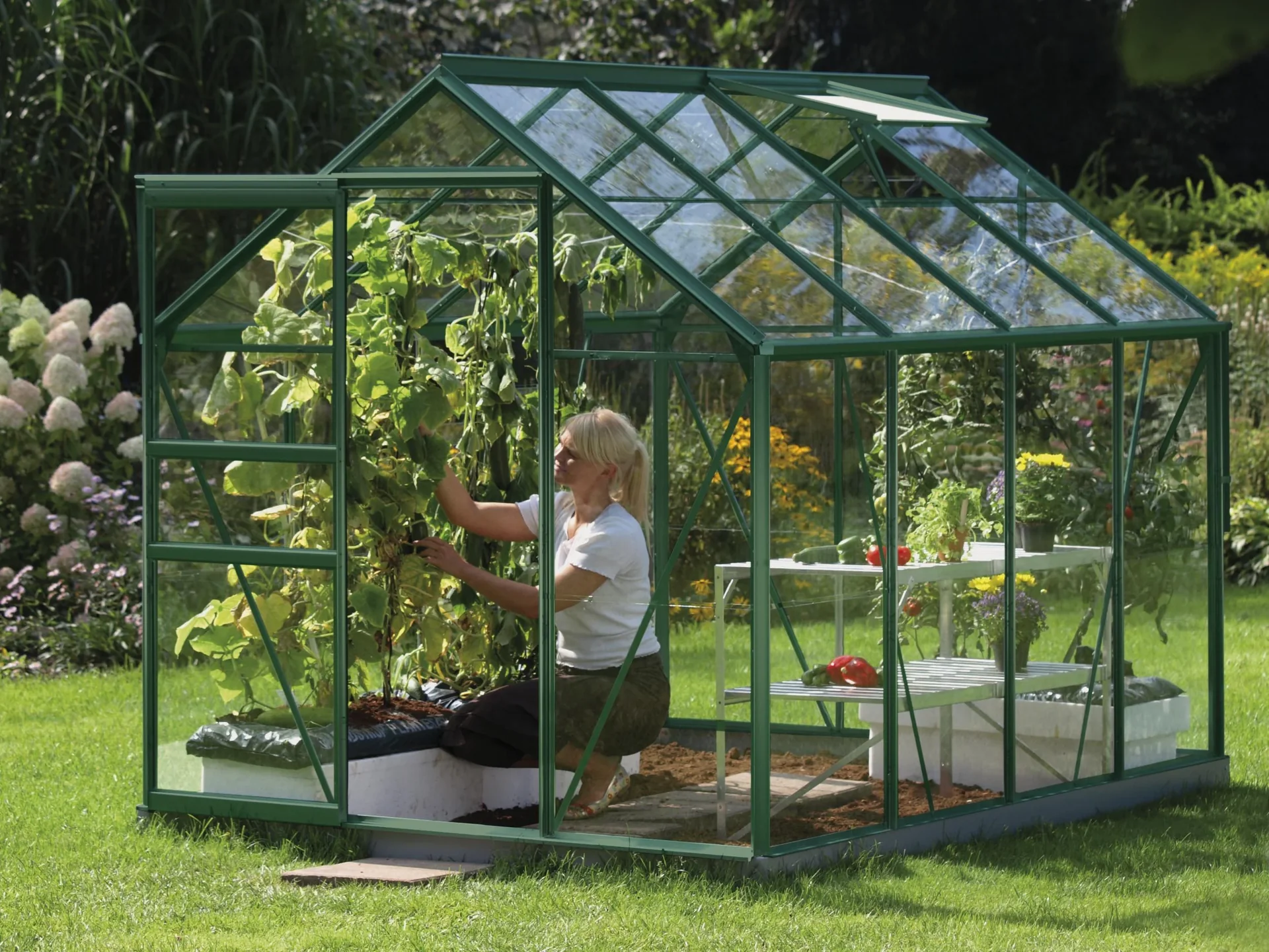 Gewächshaus Venus 5000 ESG 3 mm, Farbe smaragd - 2