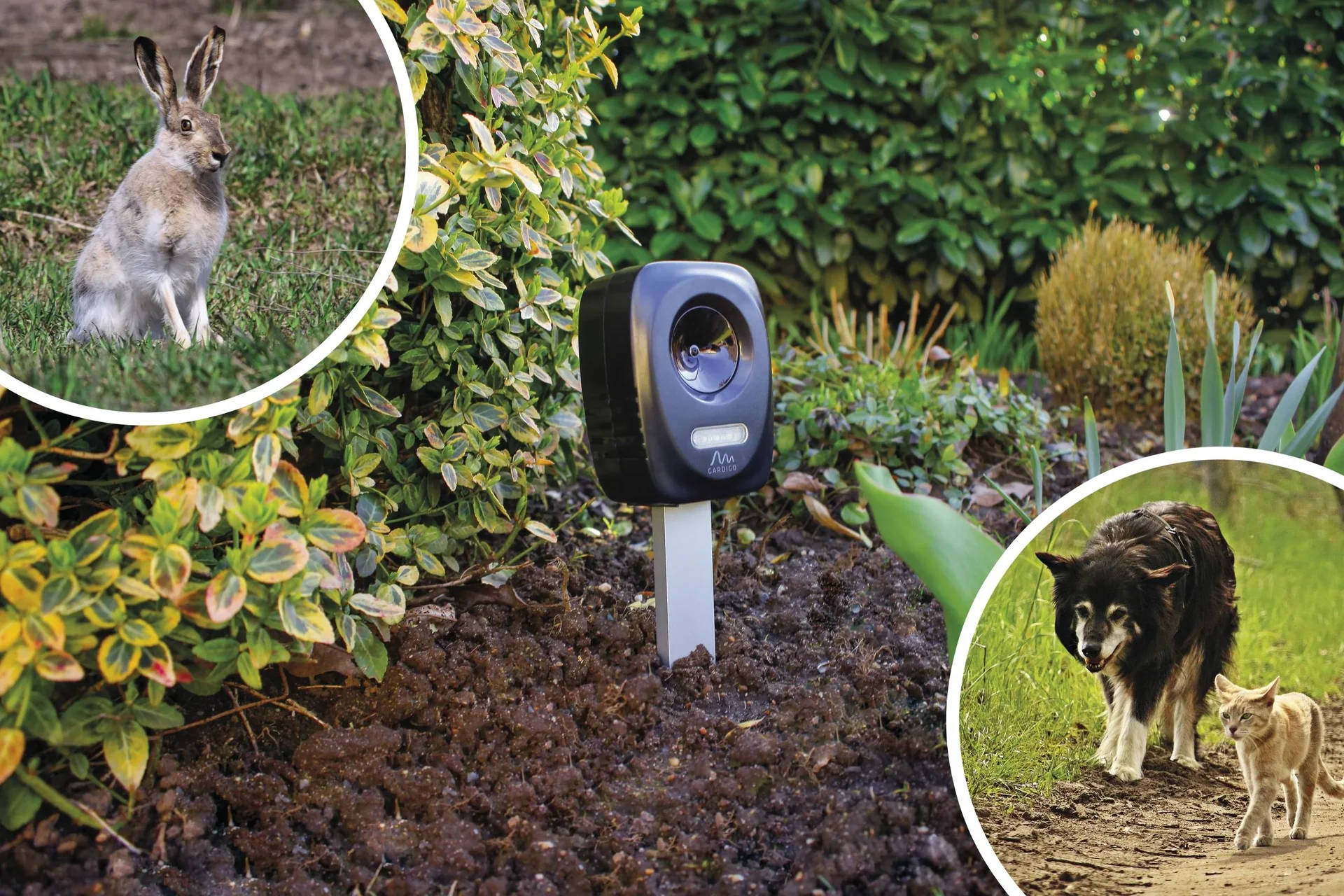 Tierabwehr mit Erdspieß - 2