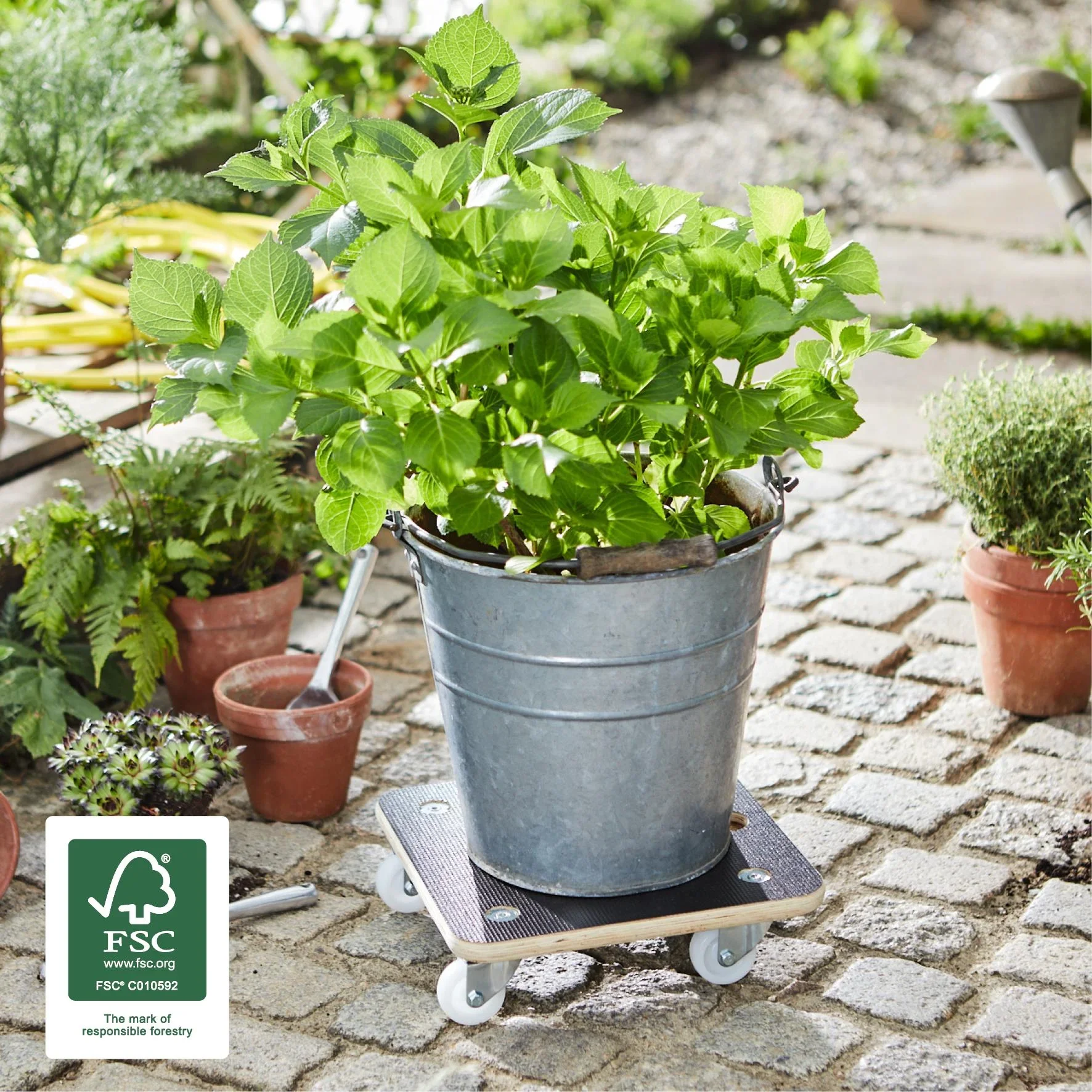 Multi Roller MR 1350, 29 x 29 x 8,5 cm, harte Rollen Ø 50 mm, Platte Multipley Maxigrip FSC®, 2 Bremsen, Tragkraft 200 kg - 0