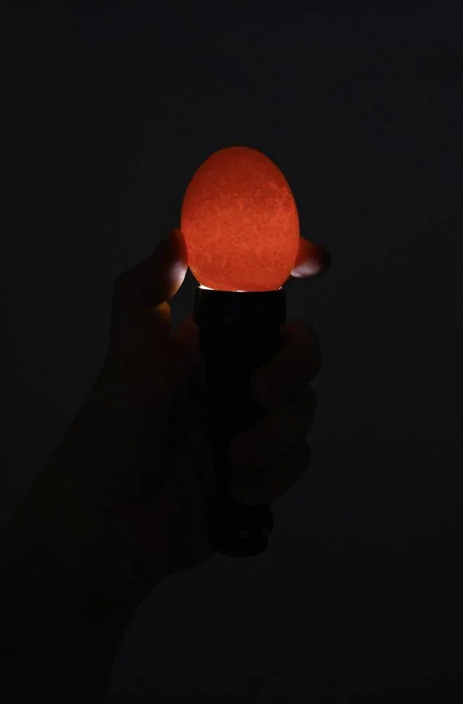 LED-Schierlampe - 5
